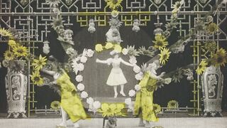 Chrysanthèmes - 1907
