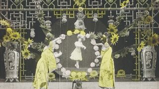 Chrysanthèmes - 1907