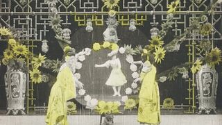 Chrysanthèmes - 1907