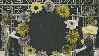 Chrysanthèmes - 1907