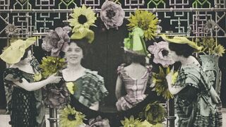 Chrysanthèmes - 1907