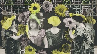 Chrysanthèmes - 1907