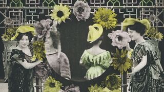 Chrysanthèmes - 1907