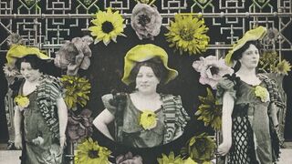 Chrysanthèmes - 1907
