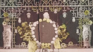 Chrysanthèmes - 1907