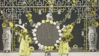 Chrysanthèmes - 1907