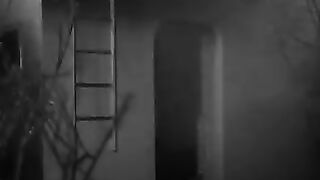 Plan 9 from Outer Space - 1959