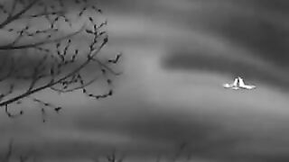 Plan 9 from Outer Space - 1959