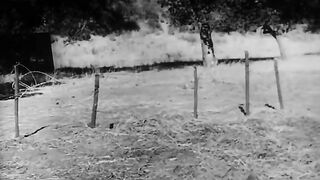 At War with the Army - 1950