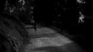 The Wild Party - 1929