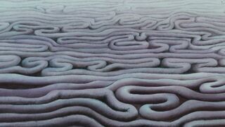 Fantastic Planet [English Dubb] - 1973