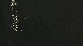 Fritz The Cat - 1972