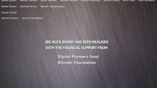 Big Buck Bunny - 2008