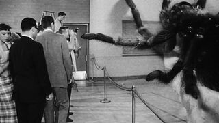 Earth vs The Spider - 1958