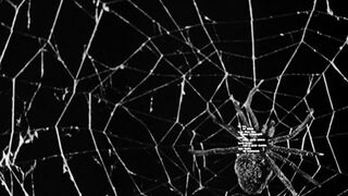 Earth vs The Spider - 1958