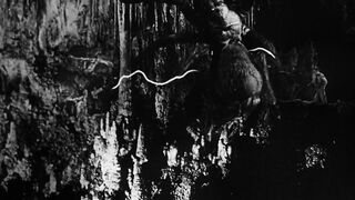 Earth vs The Spider - 1958