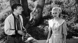 Earth vs The Spider - 1958