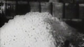 Reefer Madness - 1936