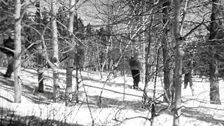 Beast from Haunted Cave - 1959