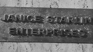 The Wasp Woman [Theatrical Release] - 1959