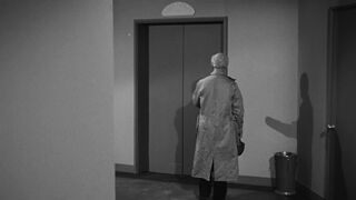 The Wasp Woman [Theatrical Release] - 1959