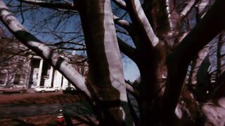 Silent Night Bloody Night - 1972