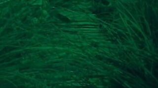 The Lost World - 1925