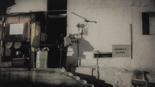 The Little Shop of Horrors - 1960