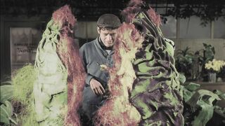 The Little Shop of Horrors - 1960