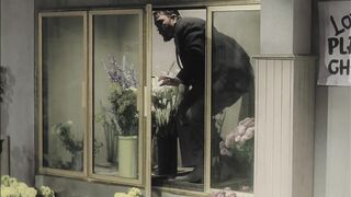 The Little Shop of Horrors - 1960