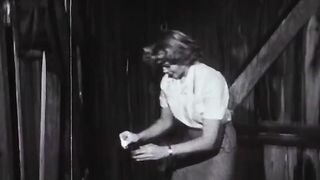 The Fast and The Furious - 1955