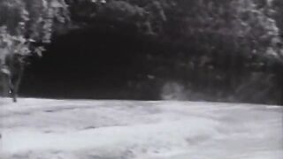 The Fast and The Furious - 1955