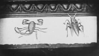 The Phantom of the Opera - 1925