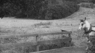 Charlie Chaplin - The Vagabond - 1916