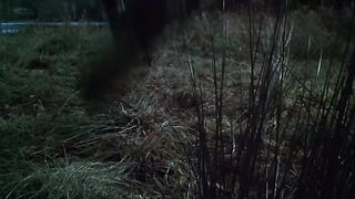 Dracula A.D. - 1972 [Trailer]
