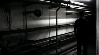 Decay - 2012
