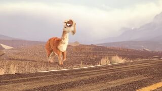 Caminandes: Llama Drama - 2013