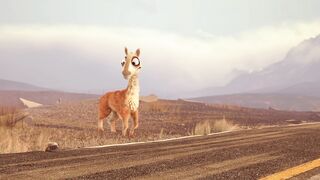 Caminandes: Llama Drama - 2013