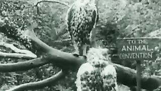 Alice in Wonderland - 1915