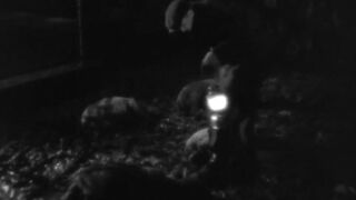 Cat People - 1942
