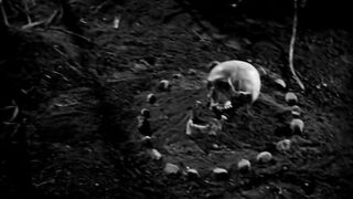 Isle of the Dead - 1945