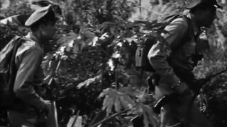 Lost Continent - 1951