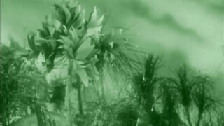 Lost Continent - 1951