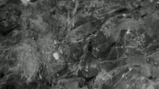 Lost Continent - 1951