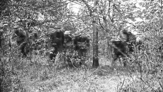 The Lost Battalion - 1919