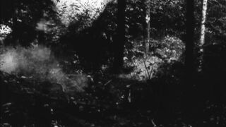 The Lost Battalion - 1919