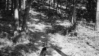 The Mountaineer's Honor - 1916
