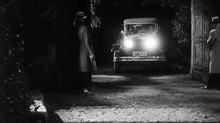 Mysterious Dr. Fu Manchu - 1929
