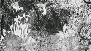 Pour le Papoose - 1912