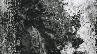 Pour le Papoose - 1912